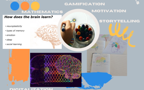 Our learning brain - unlock your students' potential